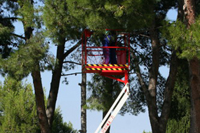 Aerial work platform Matilsa Parma7
